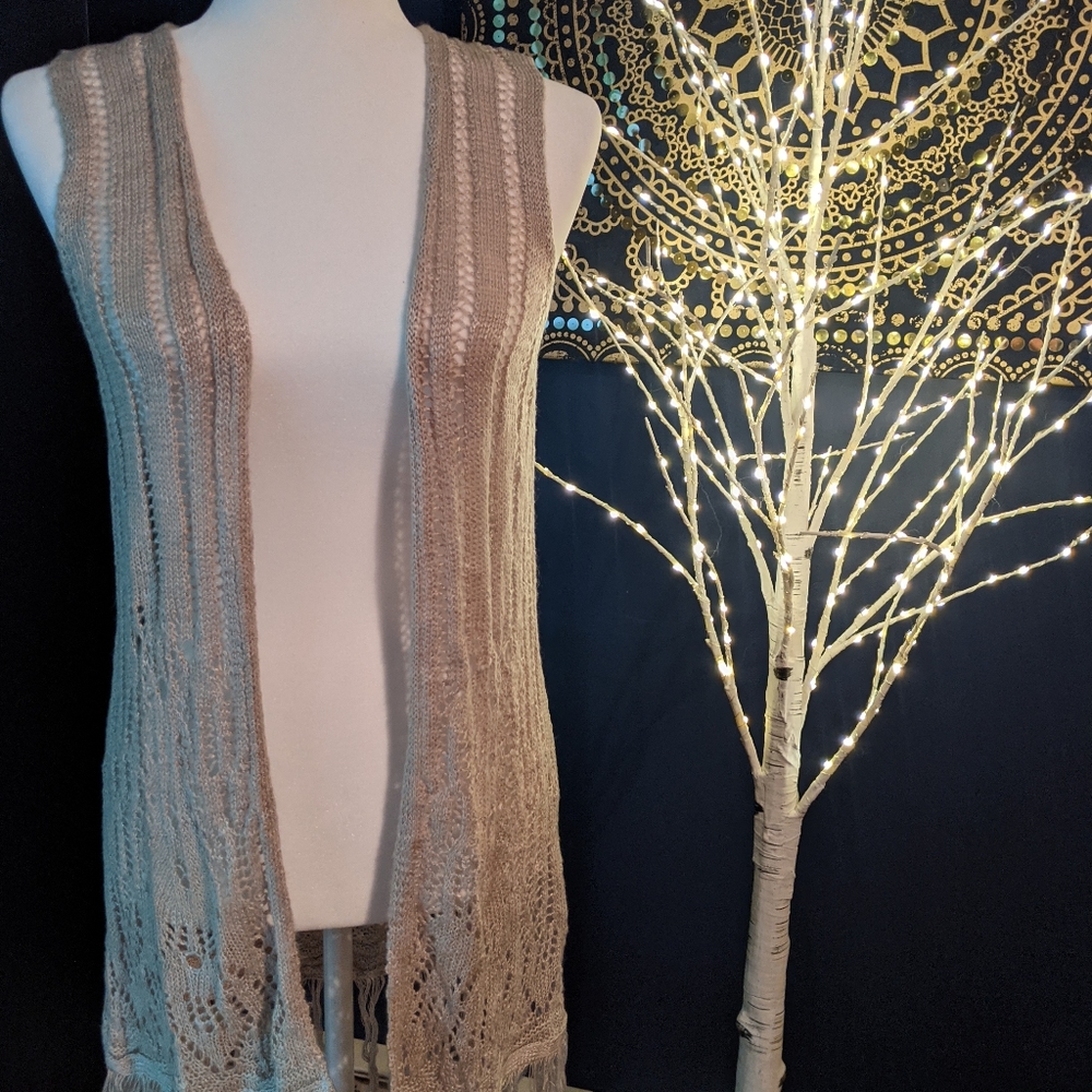Francesca's tan knitted fringe vest